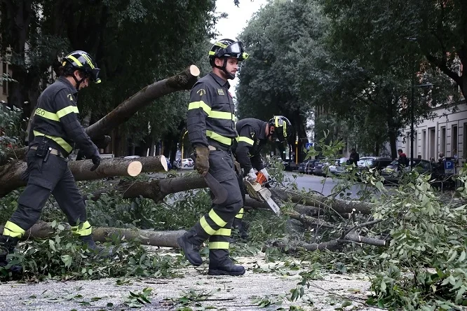 Alberi caduti e danni per il forte vento in varie zone delle Marche