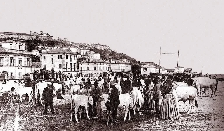 Un’antologia per la Fiera di San Martino