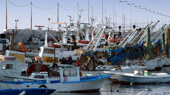 Fermo pesca, San Benedetto ha un’idea 