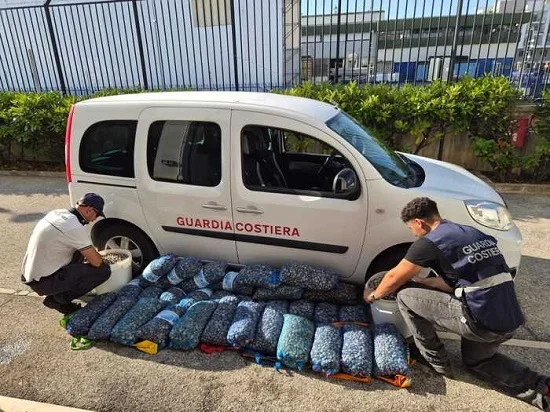 Vongole senza tracciabilità e oltre le quote, 7mila euro di multe in Riviera 