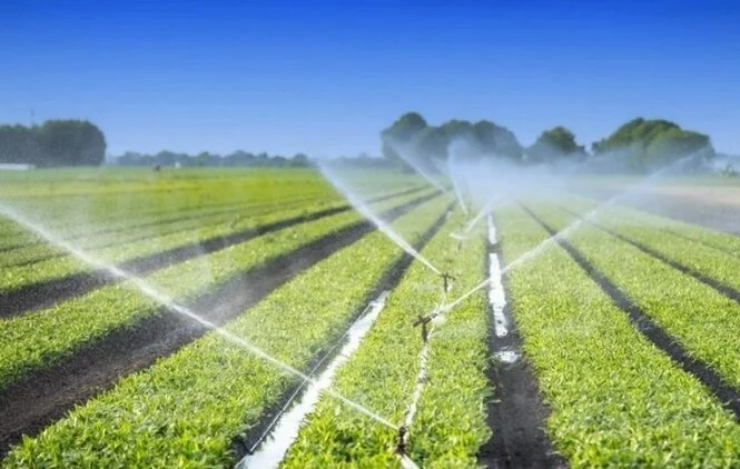 Turnazioni dell'acqua in val d'Aso, agricoltori 'rischio emergenza'