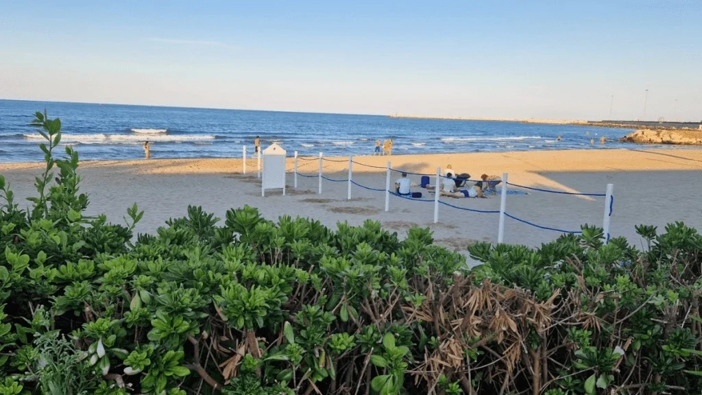 Spiaggia pet-friendly, Autorità di Sistema e Capitaneria di Porto firmano l’ordinanza