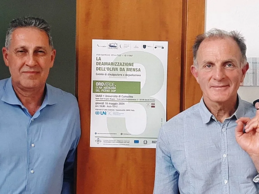 UNICAM ed ONU insieme per la sostenibilità della filiera olivicola del Piceno