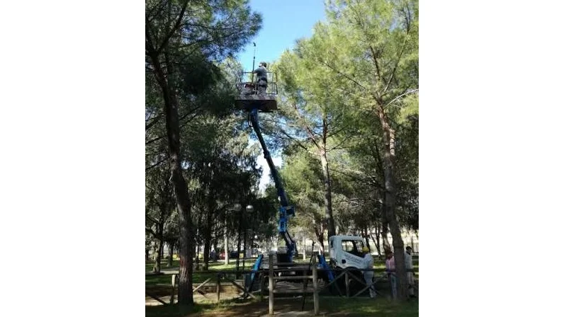 Richiesta di pulizia meccanizzata nelle vie del quartiere Porto D’Ascoli Centro e potatura alberi parco pubblico ex Pierantozzi Via Tronto
