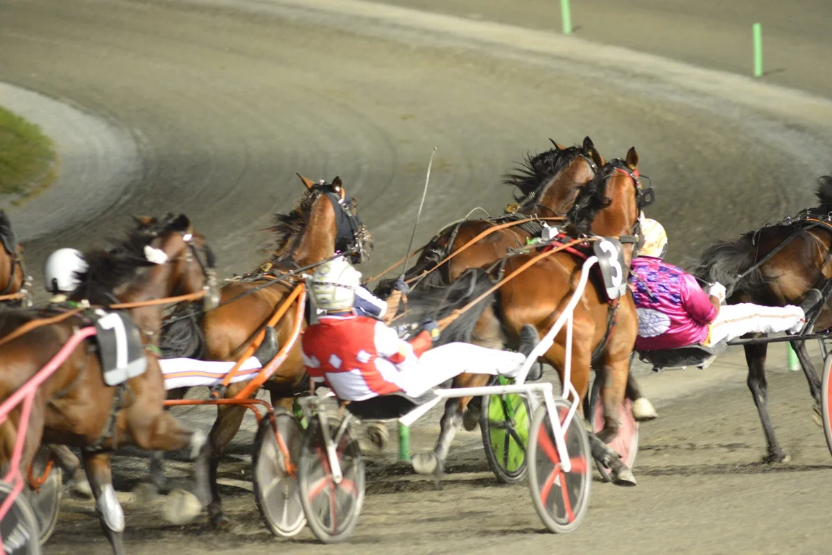 In arrivo nuove emozioni all’ippodromo “San Paolo” di Montegiorgio