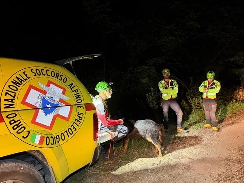 Morto mentre cerca funghi nella zona di Montegallo, trovato dopo una notte di ricerche 
