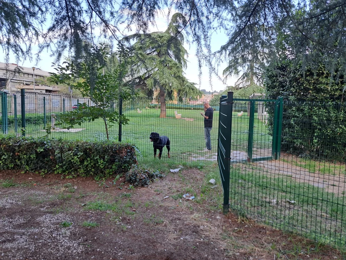 Ascoli Piceno - Aree per cani nel degrado, i cittadini chiedono al Comune di intervenire