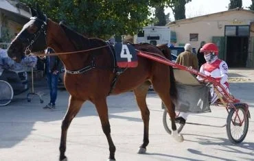 L’ippodromo “San Paolo” riaccende i riflettori per un nuovo appuntamento sportivo