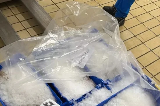 Pescato senza tracciabilità, sequestro 140 chili di prodotto e sanzioni per 4mila euro 
