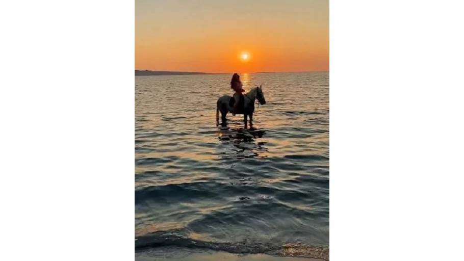 'Riding by the sea', cavalli protagonisti in riva al mare 