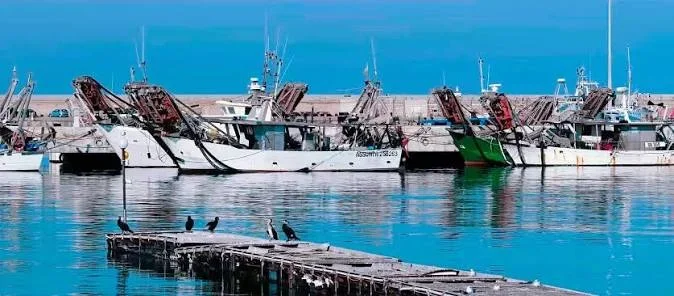 Riparte la pesca, ma il caro gasolio frena la marineria sambenedettese