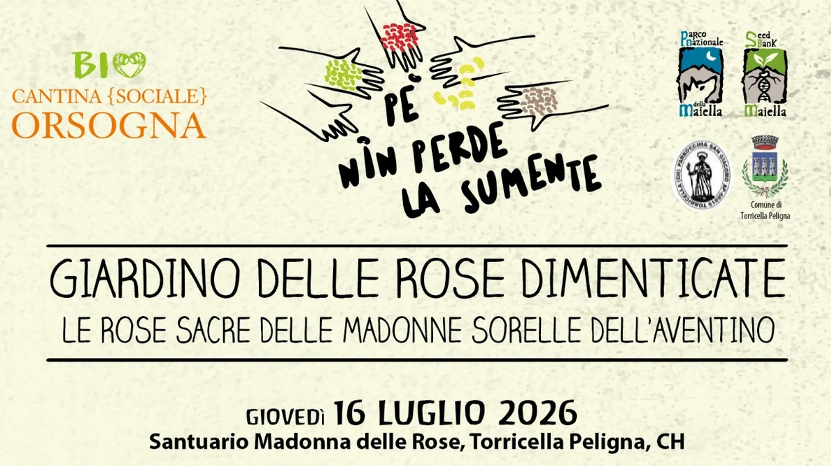  PE' NIN PERDE LA SUMENTE: IL 16 LUGLIO IL GIARDINO DELLE ROSE DIMENTICATE DEL SANTUARIO DI TORRICELLA PELIGNA SI ARRICCHISCE DI UNA NUOVA E PREZIOSA VARIETÀ