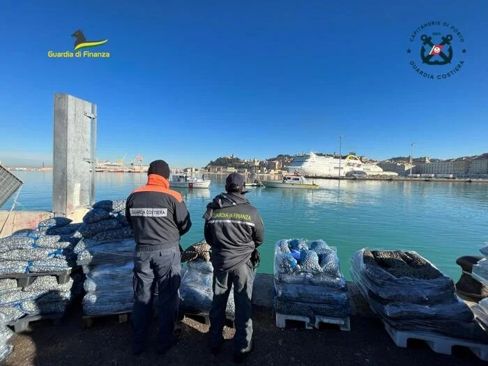 Sequestrate 1,5 tonnellate di vongole senza tracciabilità