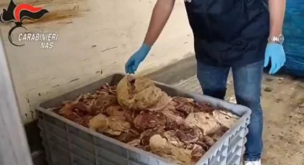 Sospesa l’attività di uno stabilimento per la produzione di pet-food ispezionato dai Carabinieri del NAS di Pescara