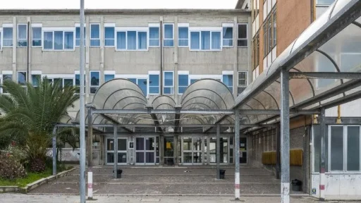 Ascoli Piceno - Scuole, al via i controlli sugli alberi adiacenti i plessi per garantire sicurezza ai ragazzi