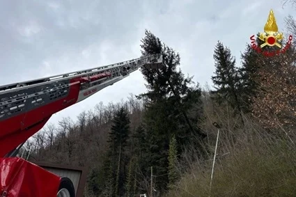 Frana nell'Ascolano: alberi a rischio sui cavi, intervento dei Vigili del Fuoco