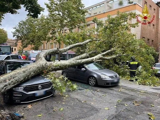 Vento forte nelle Marche, 152 interventi dei vigili del fuoco