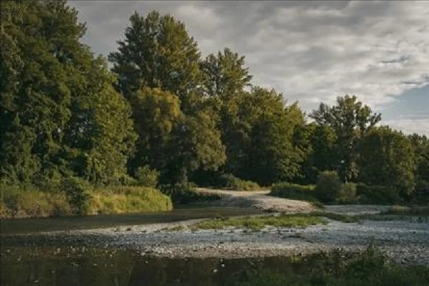 Convenzione per interventi di manutenzione nei bacini idrografici della provincia di Pesaro-Urbino