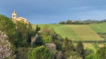 Imprese del Piceno, due nuove misure per il 2026: oltre 25 milioni di euro a fondo perduto