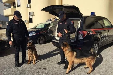 Sorelle scomparse: per le ricerche impiegati anche cani da 'mantrailing' 