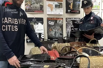 Commercializza scarpe in pellame di pitone senza registrarlo, sanzione da 10mila euro