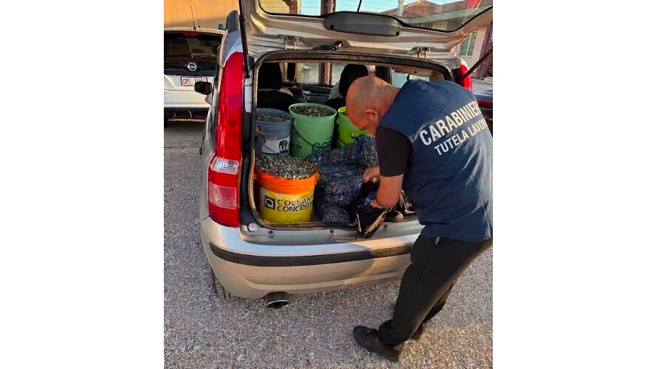Controlli congiunti del N.I.L., Arma Territoriale e Guardia Costiera: rinvenuti 180 kg di vongole trasportate irregolarmente