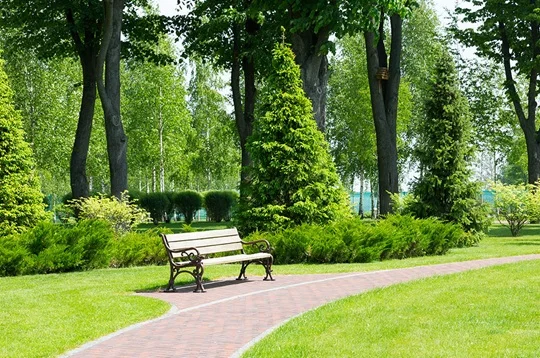 Avanzo di bilancio, verde e scuole all’esame del Consiglio