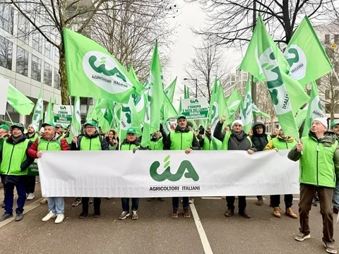 Cia compatta a Strasburgo