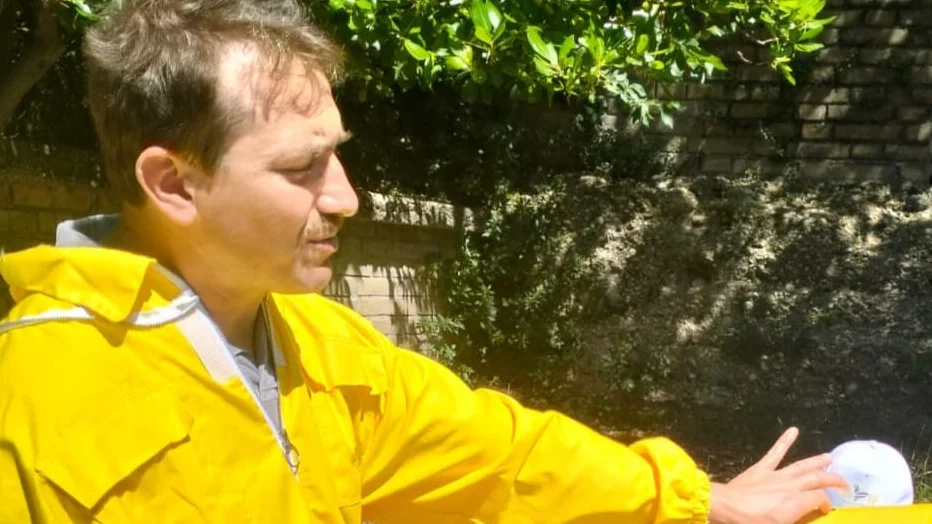 Caldo e import, apicoltura marchigiana in difficoltà