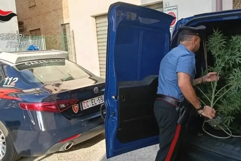 Serra di marijuana in casa con timer per ventilare e illuminare
