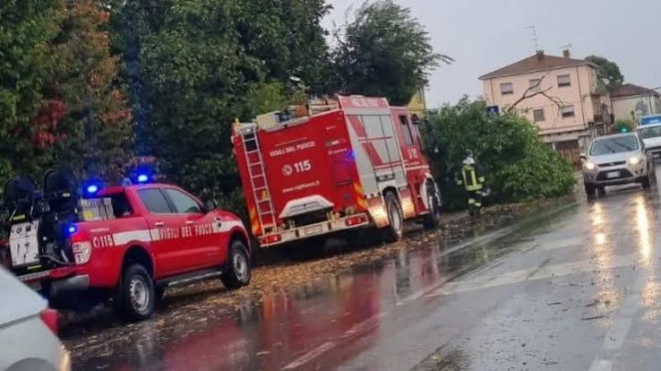 Pomeriggio di maltempo: 70 gli interventi dei Vigili del fuoco, un albero cade sulla Salaria e sfiora un bus
