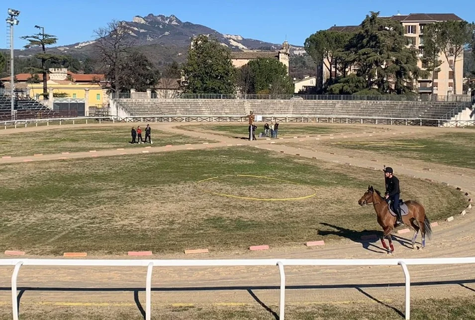 Ascoli Piceno - Quintana, tornano in pista i cavalieri per le prove a porte chiuse