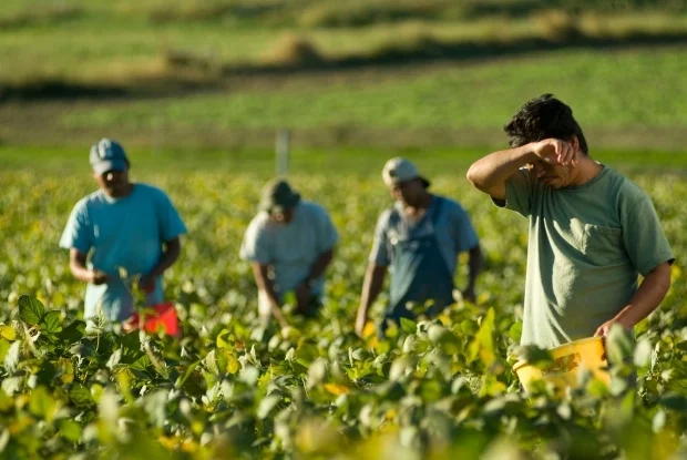 “800 voci per la Terra”: a Pescina domani riflettori su degrado culturale e dignità della terra