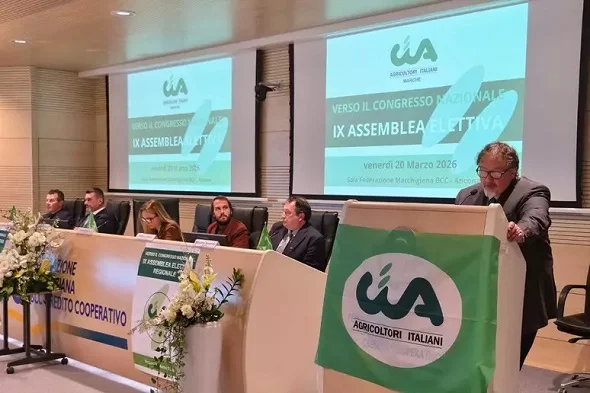 Allarme Cia Marche sul carburante, 'agricoltura e pesca ormai alla frutta' 