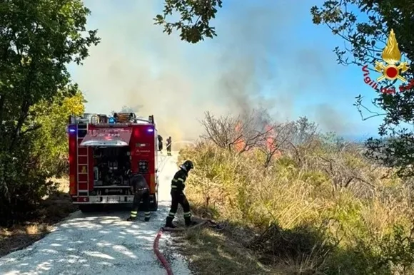 Incendio boschivo nel Fermano, domato dopo diverse ore dai Vigili del fuoco 