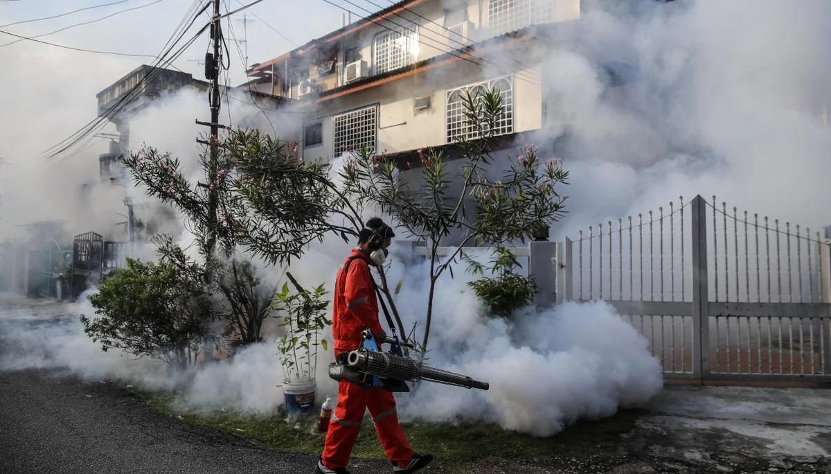 Roccafluvione - Sospetto caso di dengue, allarme nel paese piceno