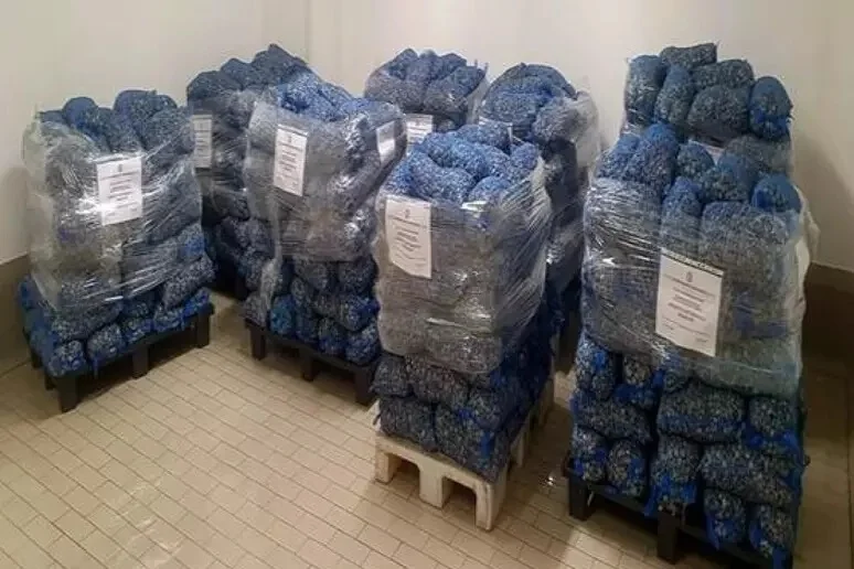 Guardia Costiera Marche sequestra 6.000 chilogrammi di prodotto ittico