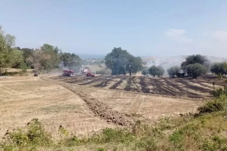 In fiamme un bosco e un campo, in azione i Vigili del Fuoco