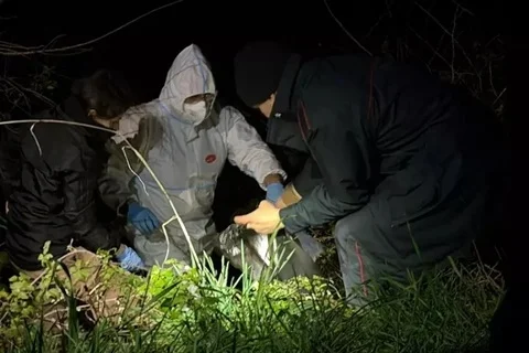 Cimitero clandestino di cani vicino all'A14, trovate altre ossa in sacchi di plastica
