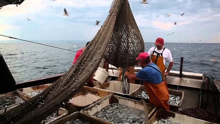 Sostegno alla pesca: pronto il calendario degli incontri per presentare le misure FEAMPA