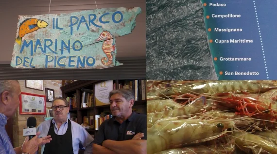 Parco Marino si, Parco Marino no ? Come difendere il territorio marino del Piceno ?