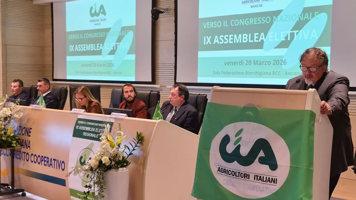 Contributo a fondo perduto, Cia soddisfatta