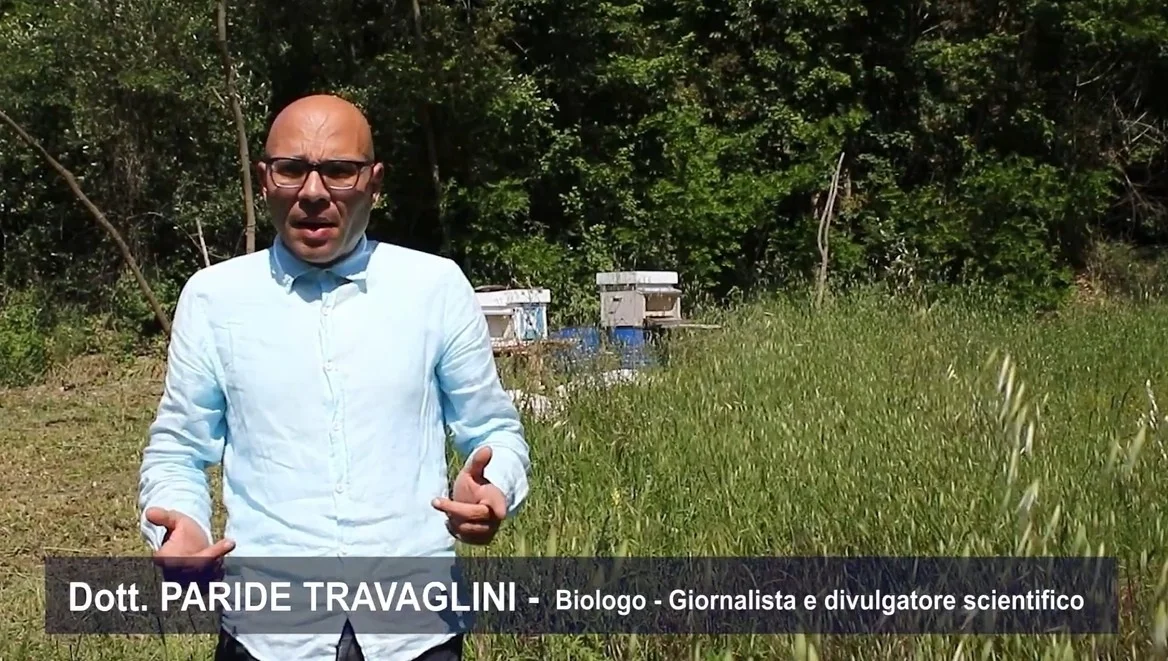 Notevole successo per il video "Api, Ambiente, Alimentazione" promosso dal professor Alberto Felici