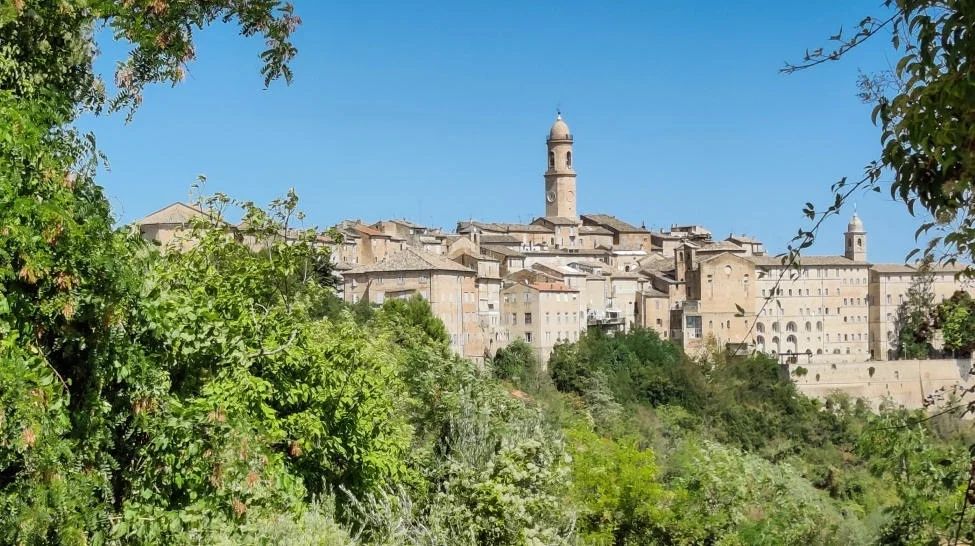 Esche avvelenate nel Fermano, ordinanza per interdire l'area