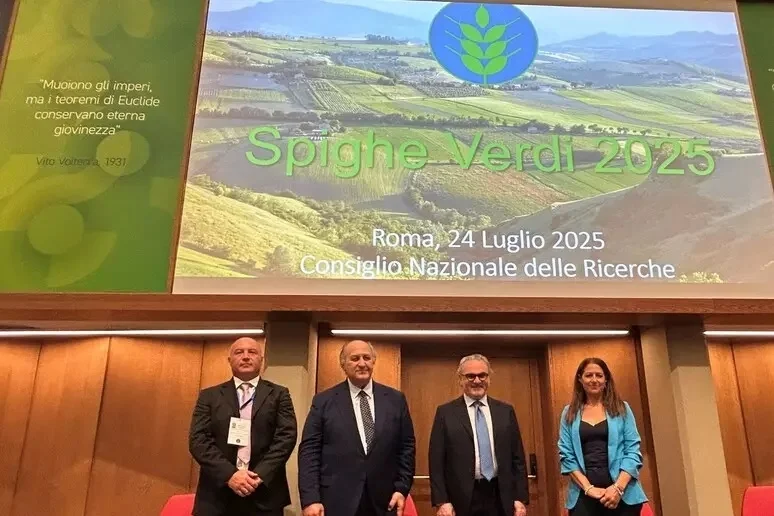 Spighe verdi 2025, le Marche al vertice della classifica