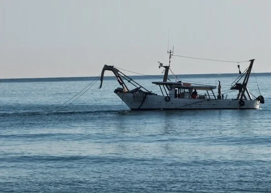 Nobili (Avs), 'stop a situazioni illegittime nella pesca delle vongole'