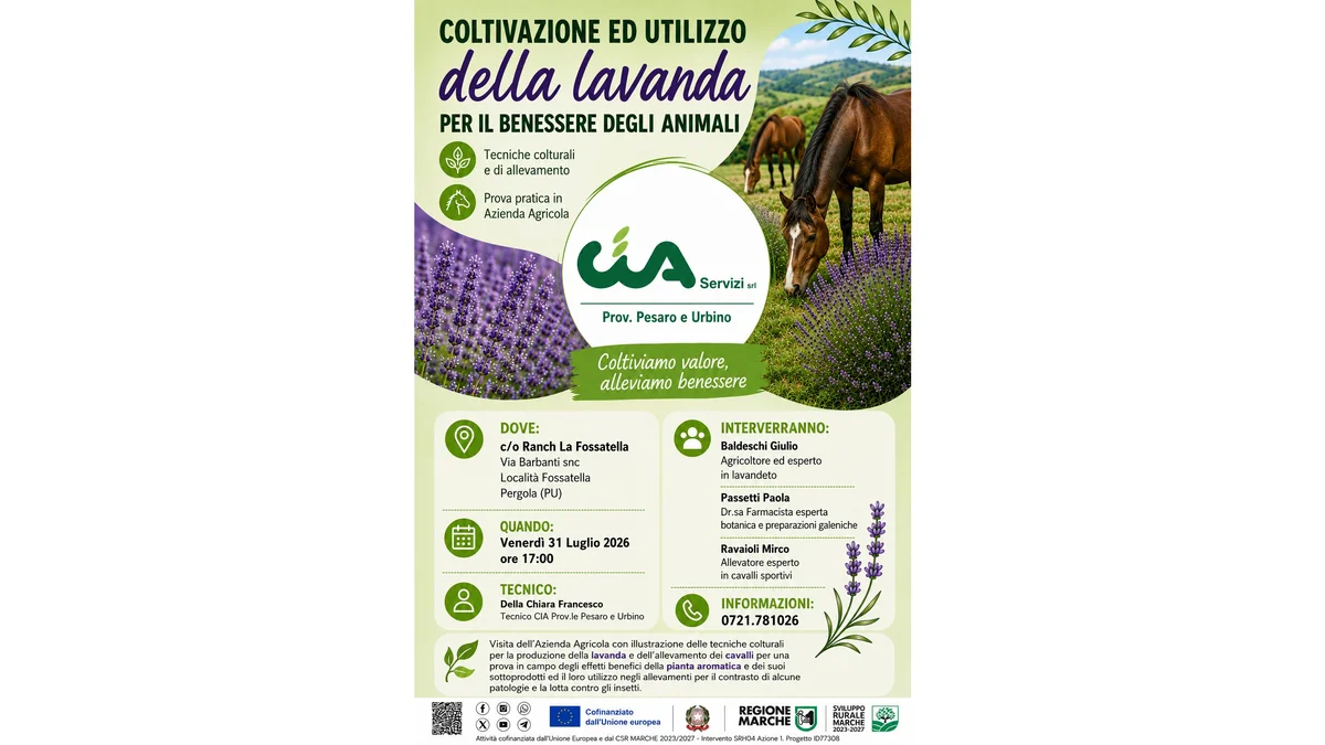 A Pergola un incontro sulla coltivazione della lavanda per il benessere degli animali