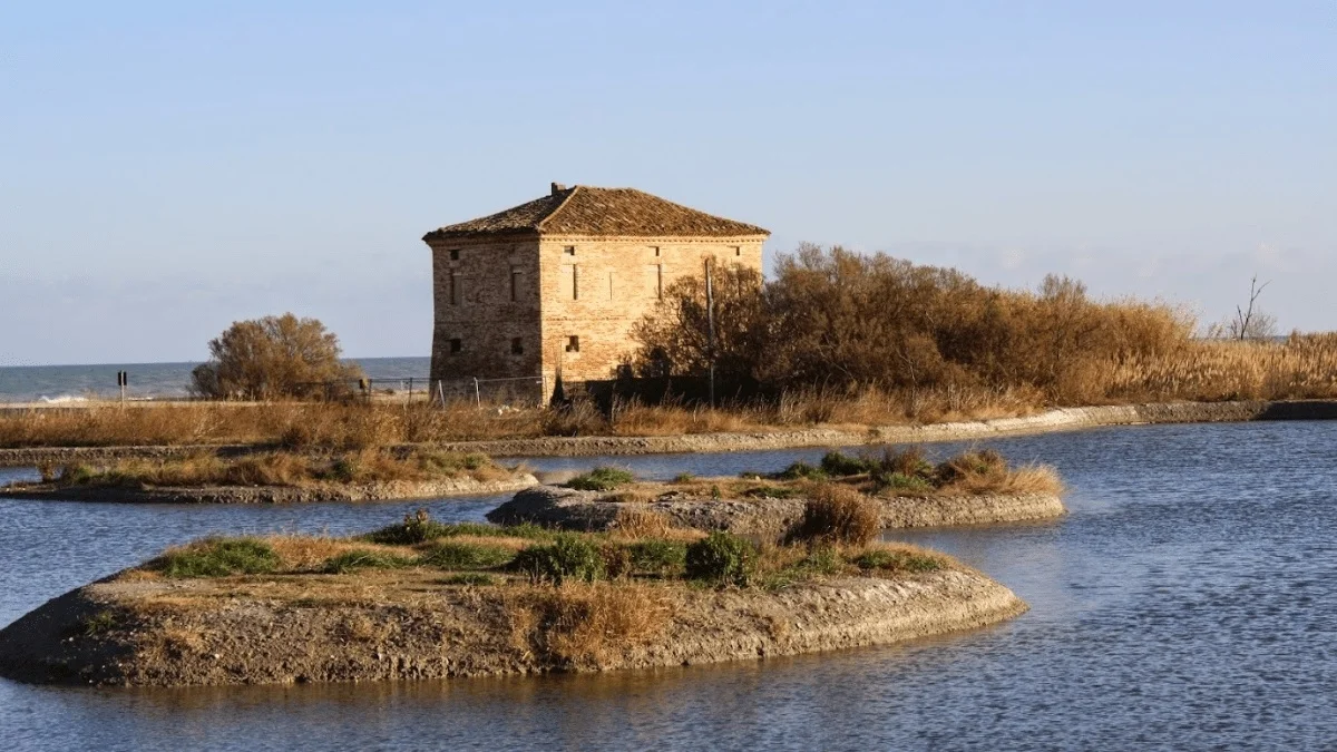 Nuovo appuntamento con le visite guidate alla Riserva Sentina