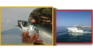 Pesca - In arrivo il Campionato Provinciale Individuale di Canna da Natante