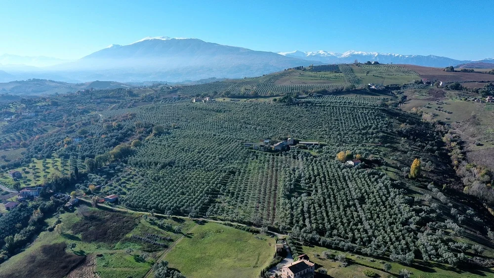 Buoni come l’Olio: le famiglie alla scoperta di ambiente, gusto e tradizioni con il FAI